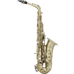 Chateau alt sax CAS-22M