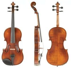 Gewa violina Allegro 4/4 - form case