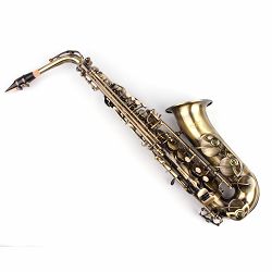 Karl Glaser alt sax 100AS-ANT