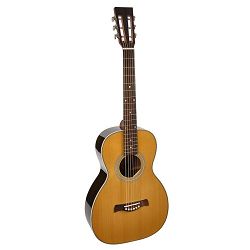 Richwood master serija parlor gitara P-65-VA